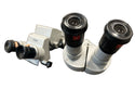 Zeiss Surgical Microscope 50 Beam f=125/16 Binocular Head 10X Eyepieces & 12.5X